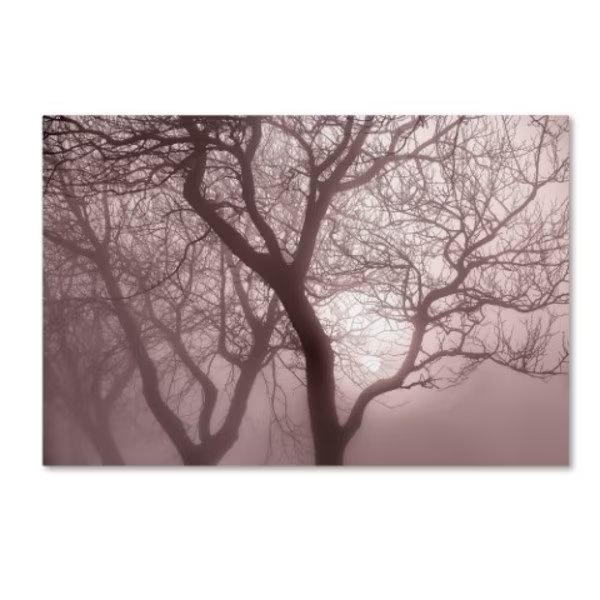 Cora Niele 'Hazy Dawn With Tree Tree Silhouettes' Canvas Art, 30x47, Trademark Fine Art, Mfr#: ALI16514-C3047GG